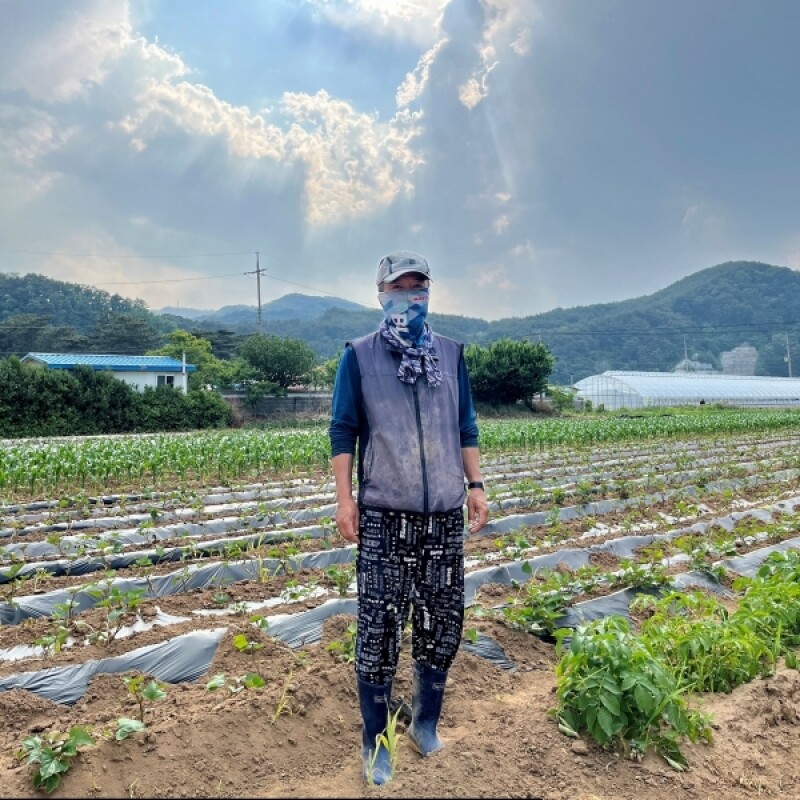 근덕농협,근덕농업협동조합,건곤드레,돌미역,누룽지,어른간식,간단식사,우리곡간식품,면역강화,기관지에좋은차,즙,기관지건강,목관리,목에좋은차,기타건강즙백도라지즙,백도라지청,햅쌀,삼척 건곤드레,자연산 돌미역,곤드레,동해안 돌미역, 고소한 누룽지,삼척 백도라지,맑은쌀,쌀4kg,10kg,20kg,건나물,건곤드레 건나물
