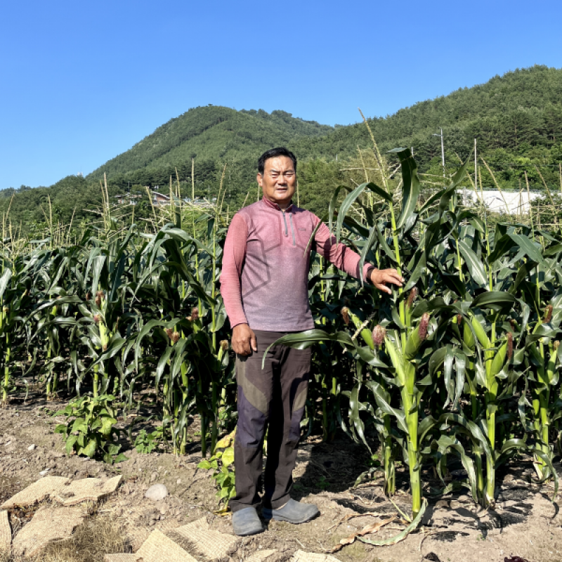 근덕농협,근덕농업협동조합,건곤드레,돌미역,누룽지,어른간식,간단식사,우리곡간식품,면역강화,기관지에좋은차,즙,기관지건강,목관리,목에좋은차,기타건강즙백도라지즙,백도라지청,햅쌀,삼척 건곤드레,자연산 돌미역,곤드레,동해안 돌미역, 고소한 누룽지,삼척 백도라지,맑은쌀,쌀4kg,10kg,20kg,건나물,건곤드레 건나물