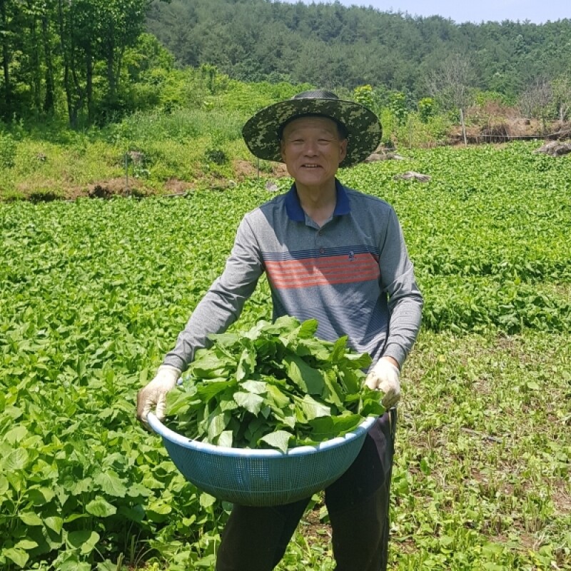 근덕농협,근덕농업협동조합,건곤드레,돌미역,누룽지,어른간식,간단식사,우리곡간식품,면역강화,기관지에좋은차,즙,기관지건강,목관리,목에좋은차,기타건강즙백도라지즙,백도라지청,햅쌀,삼척 건곤드레,자연산 돌미역,곤드레,동해안 돌미역, 고소한 누룽지,삼척 백도라지,맑은쌀,쌀4kg,10kg,20kg,건나물,건곤드레 건나물